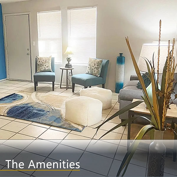 Features and Amenities
